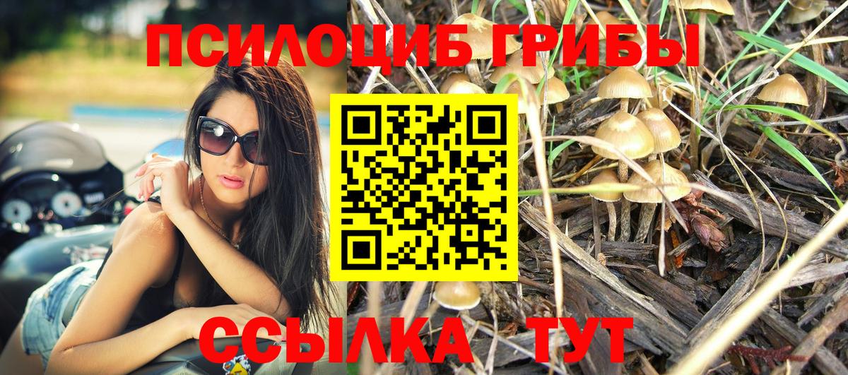 Псилоцибиновые грибы Psilocybe  хочу наркоту  Галлюциногенные грибы ЛСД  Новоалександровск  Вход с VPN 